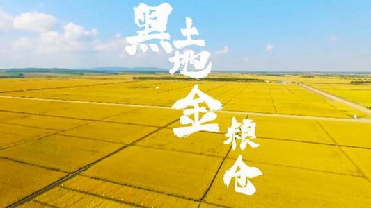 中国三大平原是哪三个