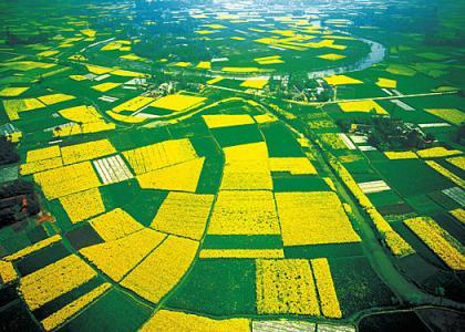 中国三大平原是哪三个