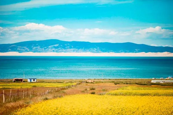 共和县海拔多少米