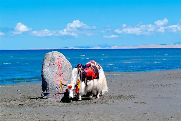 共和县海拔多少米