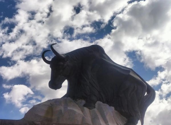 共和县海拔多少米