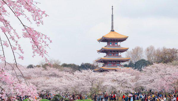 武汉有多大面积