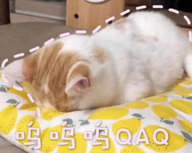 猫发出嗡嗡嗡像马达的声音是怎么回事 猫低沉呜呜像发怒