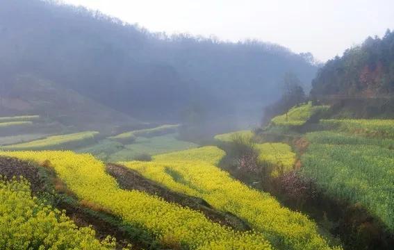 四月初八是什么日子