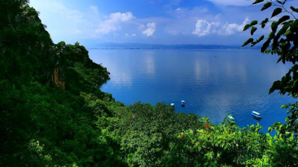 抚仙湖在云南哪里