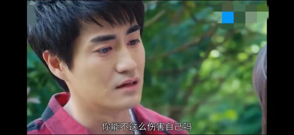 方茴和陈寻是什么电视剧