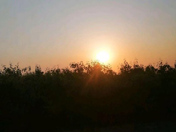 苏味道是哪个朝代的诗人