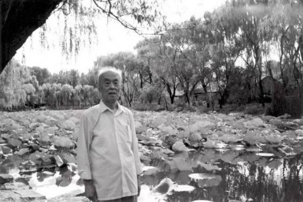 季羡林的简介及个人资料