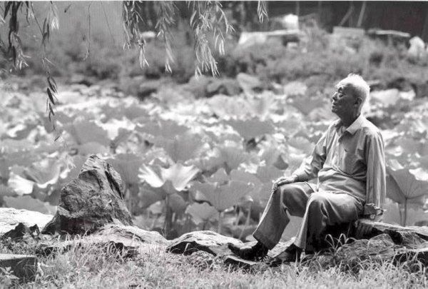 季羡林的简介及个人资料