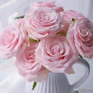 和男生怎么聊天可以增加好感 在聊天中让男生有好感喜欢你