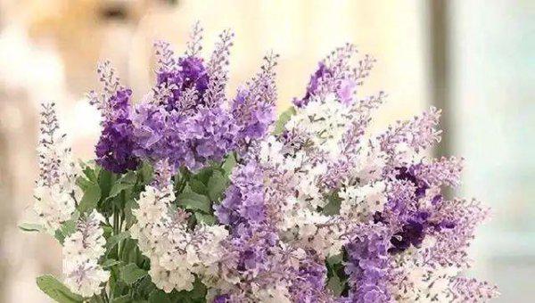 和男生怎么聊天可以增加好感