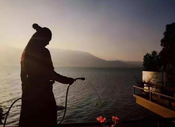 杨丽萍月亮宫简介