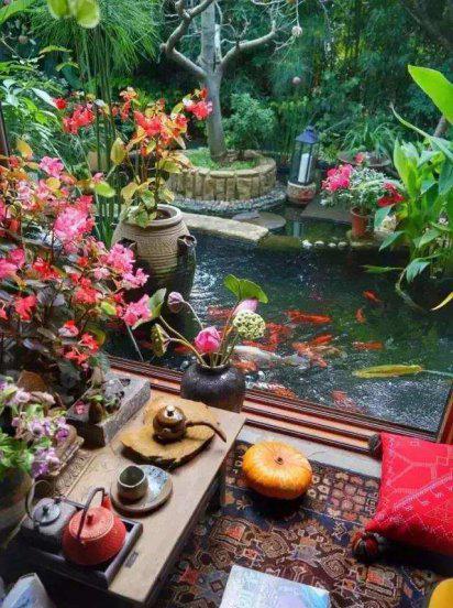 杨丽萍月亮宫简介