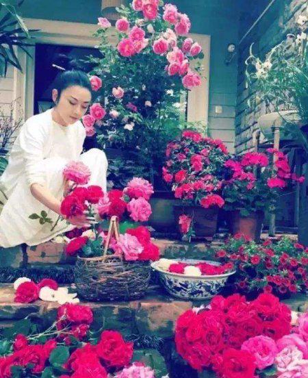 杨丽萍月亮宫简介