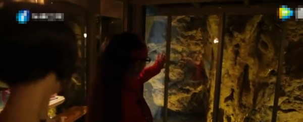 杨丽萍月亮宫简介