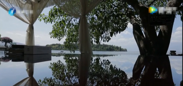 杨丽萍月亮宫简介