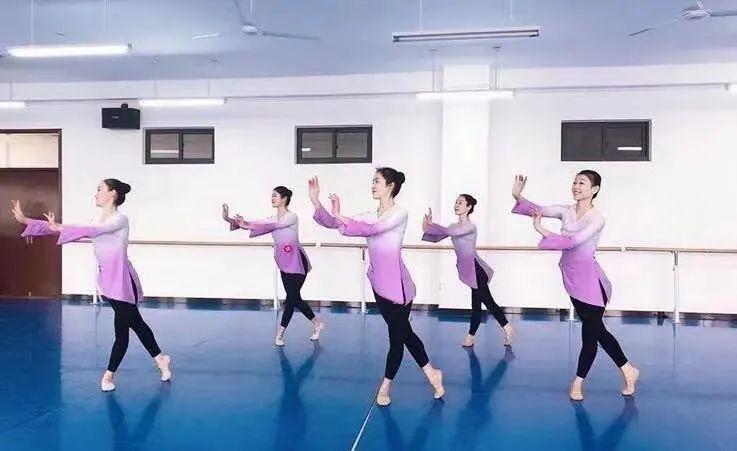 郑州大专职业学校有哪些