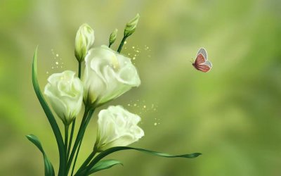 释怀的最好解释是什么意思 真正的释怀需要做到哪四点