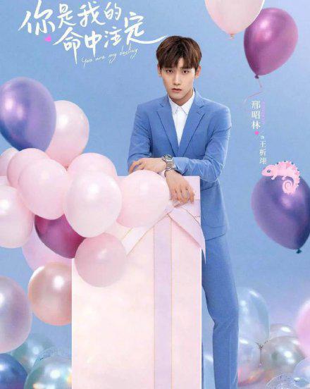 邢昭林演过的电视剧有哪些