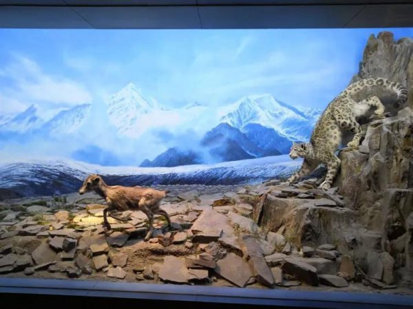 西宁有什么好玩的地方