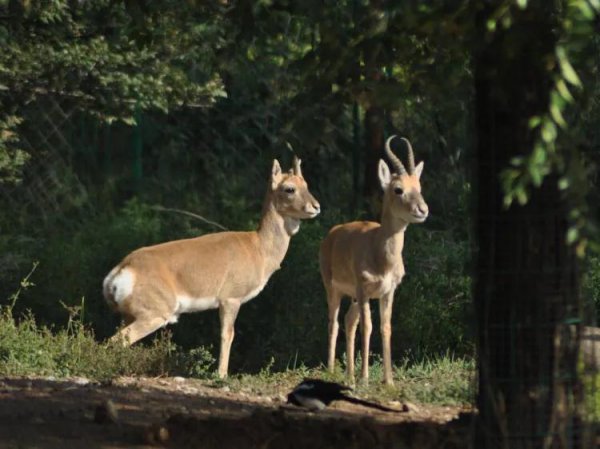 西宁有什么好玩的地方