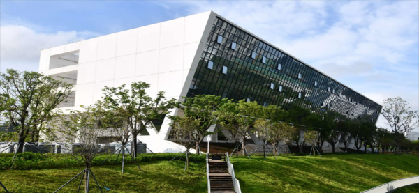 深圳大学为什么这么火发展快