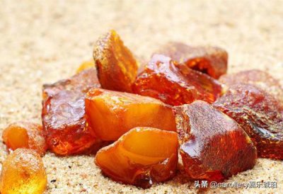 抚顺琥珀有收藏价值吗 抚顺琥珀稀有值钱吗