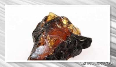 抚顺琥珀有收藏价值吗