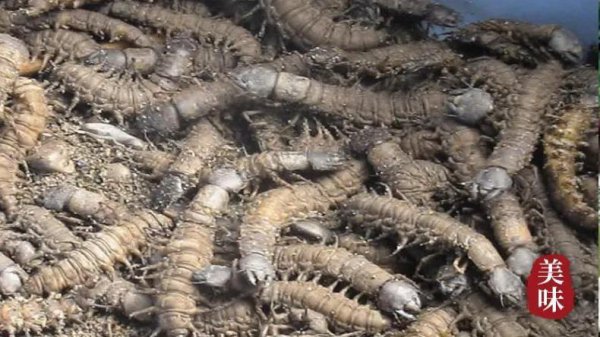 攀枝花特产有哪些