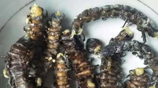 攀枝花特产有哪些