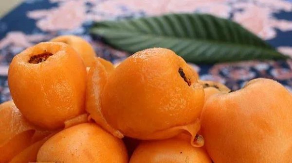 攀枝花特产有哪些