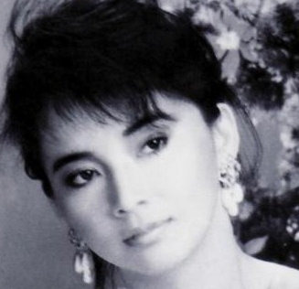 胡慧中主演的电影作品名字