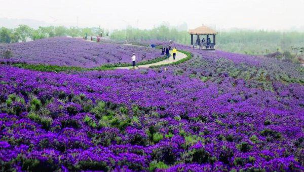 江宁旅游景点大全排名