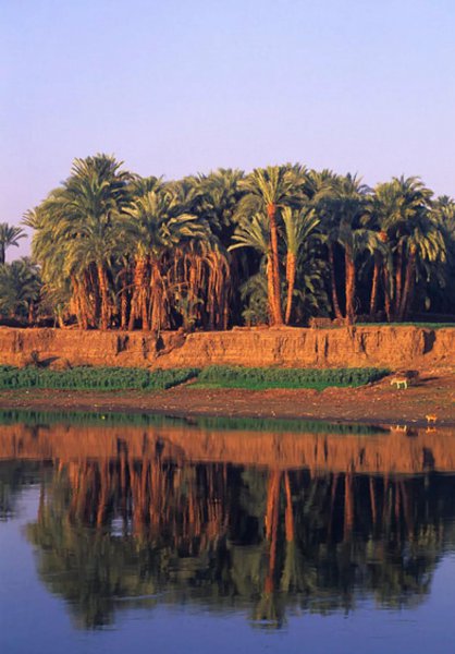 世界第一长河在哪个国家