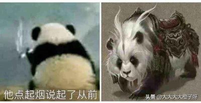 大熊猫的传说故事 远古大熊猫真的是战神蚩尤的坐骑吗