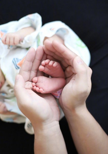 苗苗个人资料简介