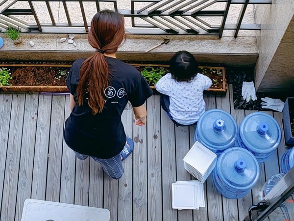 苗苗个人资料简介