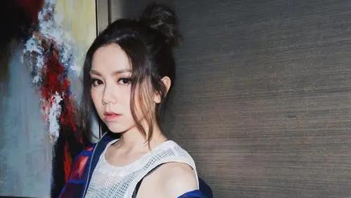 歌手邓紫棋个人简历资料