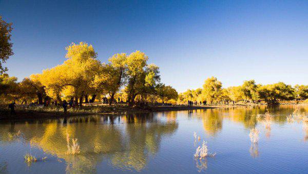 阿拉善是哪里的城市