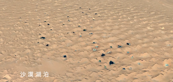 阿拉善是哪里的城市