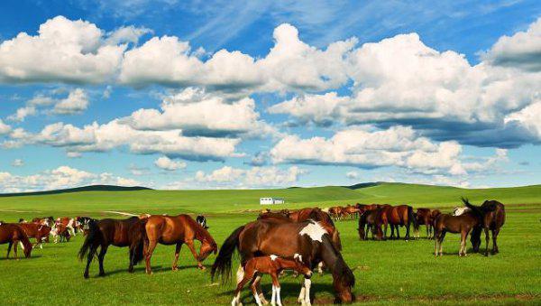 旅游必去十大景点推荐