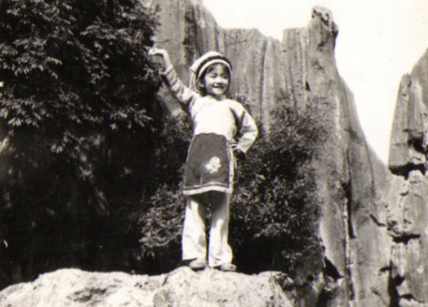 杨烁老婆王黎雯及个人资料