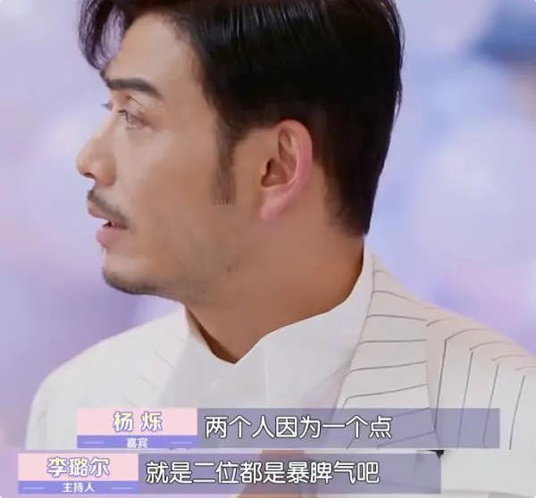 杨烁老婆王黎雯及个人资料