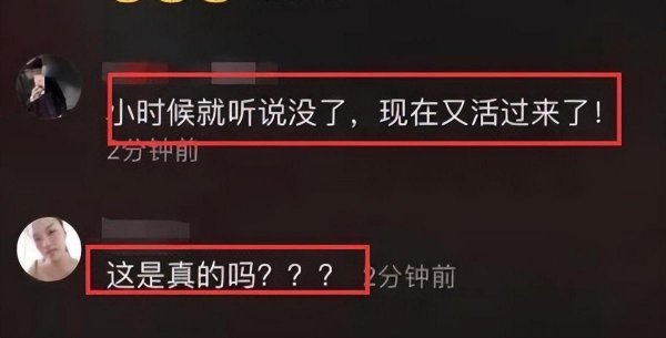 卓依婷个人资料简介