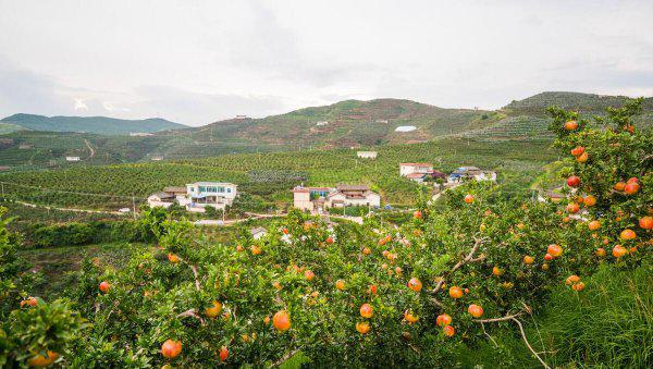 会理县属于哪个市