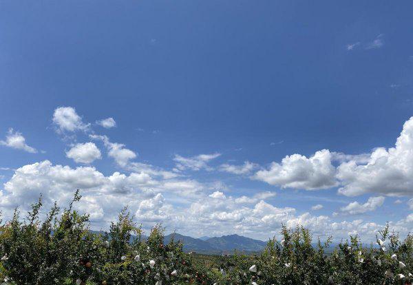 会理县属于哪个市