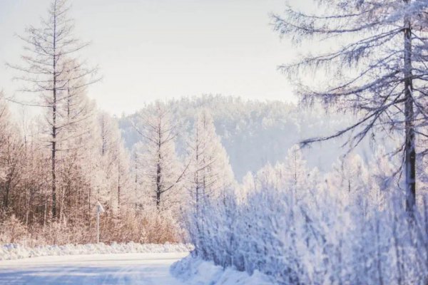 12月旅游城市有哪些