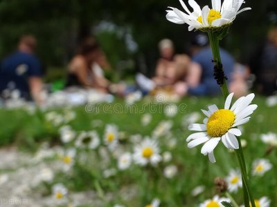 女生正缘来到的征兆 判断自己是否遇到命中注定正缘了