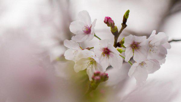 女生正缘来到的征兆