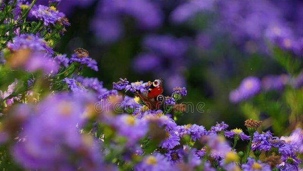 女生正缘来到的征兆